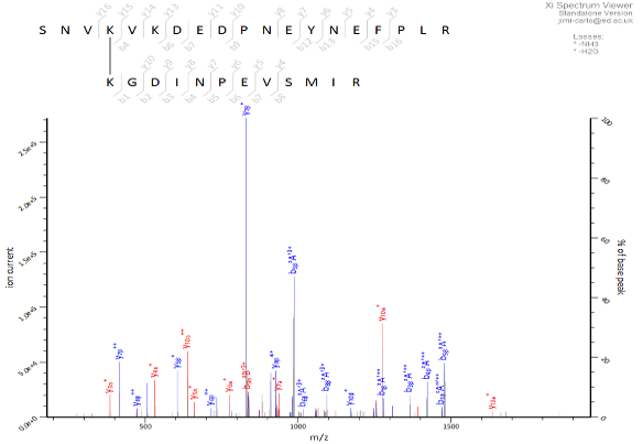 zoom spectrum